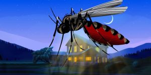 8 Natural ways to control Mosquito in Home
