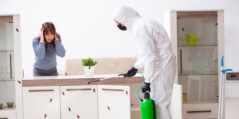 3 Things to do before Pest control services