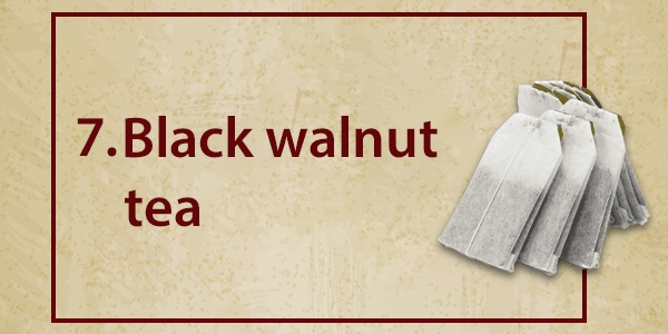 Black Walnut Tea Home Remedies to Get Rid of Bed Bugs