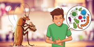 4 Ways That Cockroaches Can Make You Sick