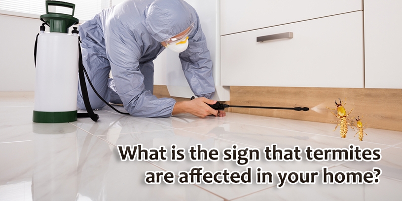 What is the sign that termites are affected in your home